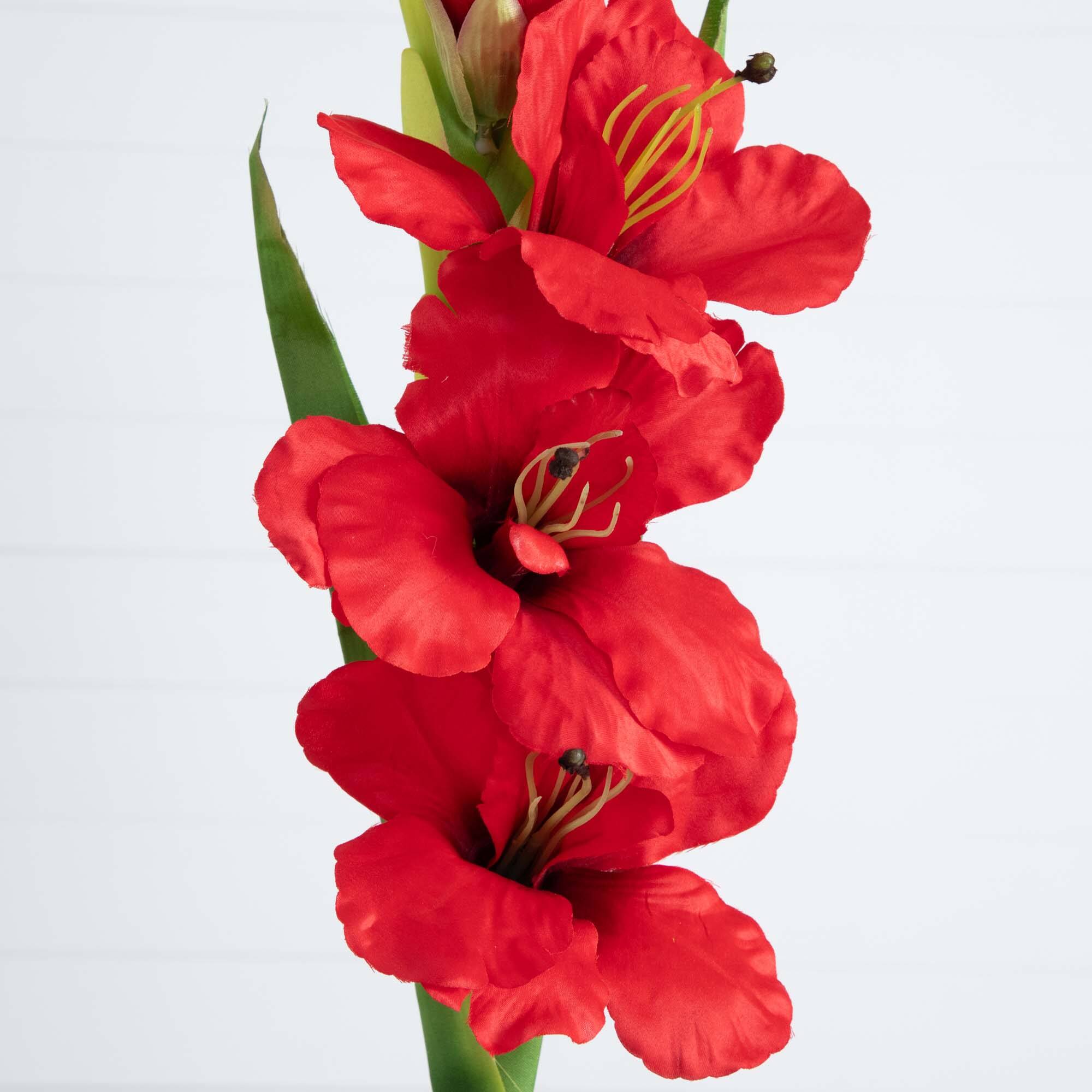 45" Red Gladiolus Flower Stems, 3ct.